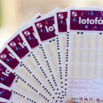 Lotofácil 3298: Prêmio de R$ 1,7 milhão e resultado do sorteio. (Foto: Google)